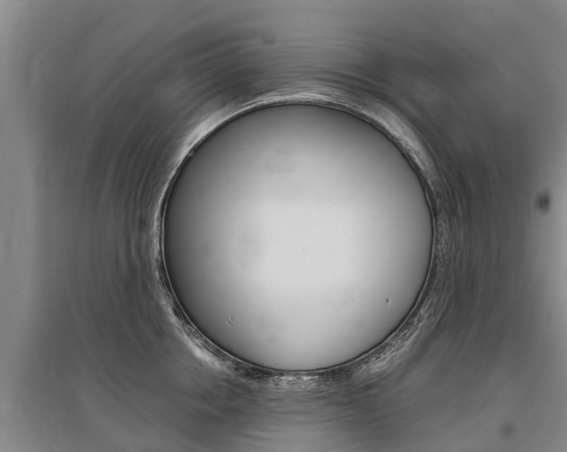 X0000095890858200801110827