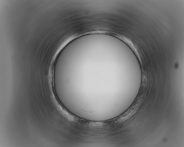 X0000095890859200801110827