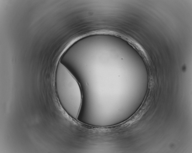 X0000095890860200801110827