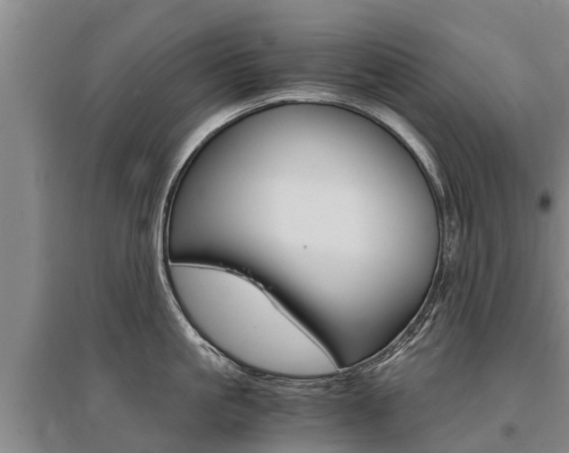 X0000095890861200801110827