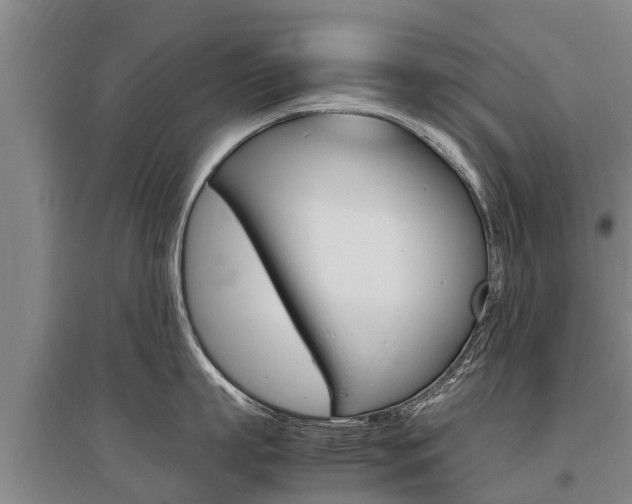 X0000095890863200801110827