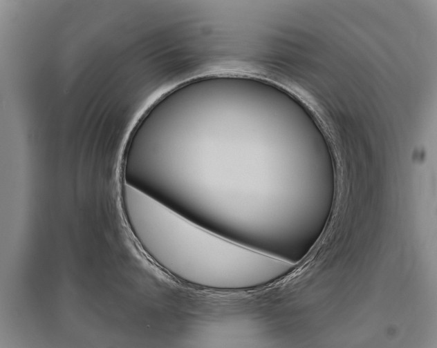 X0000095890864200801110827