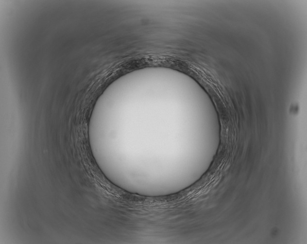 X0000095890865200801110826