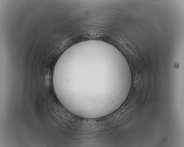 X0000095890866200801110826