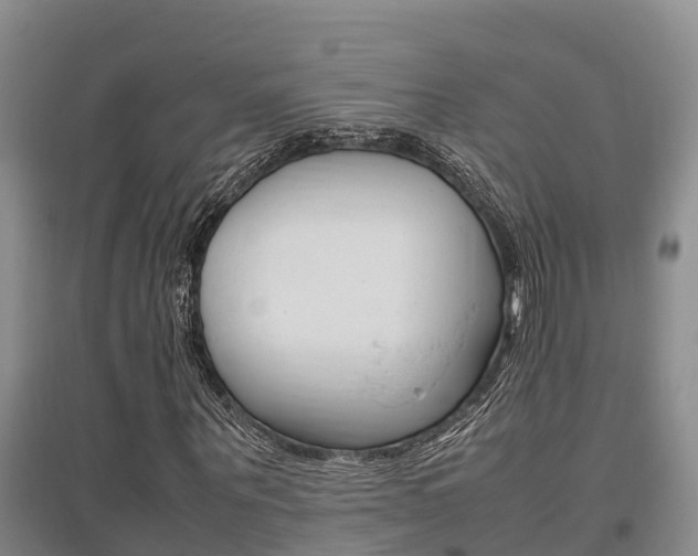 X0000095890867200801110826