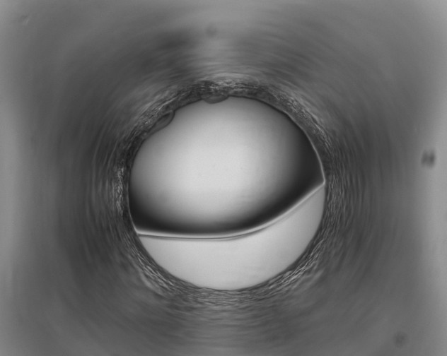 X0000095890868200801110826