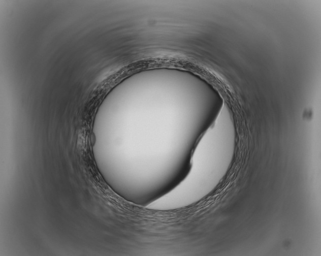 X0000095890869200801110826