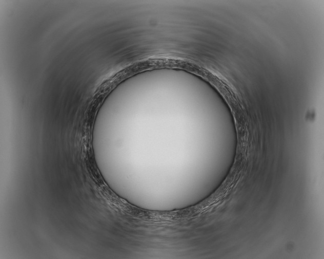 X0000095890870200801110826
