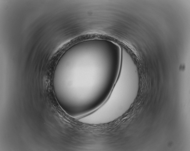 X0000095890872200801110826