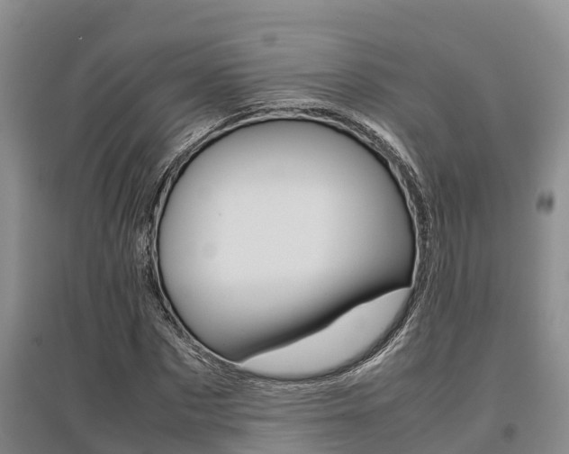 X0000095890873200801110826