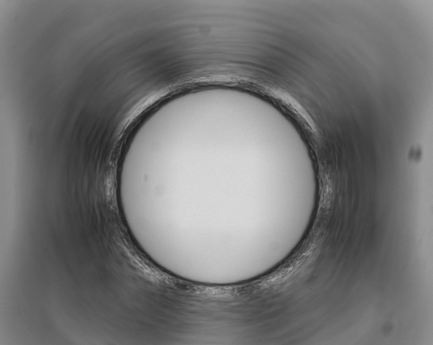 X0000095890874200801110826