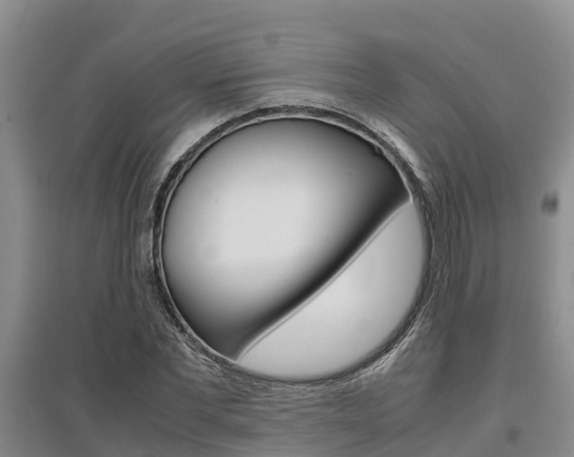 X0000095890877200801110826