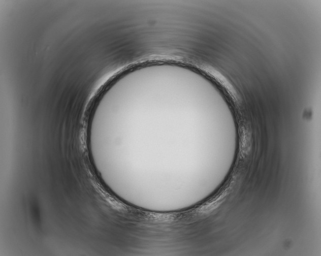 X0000095890878200801110826