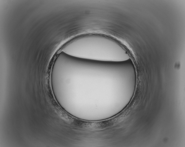 X0000095890879200801110826