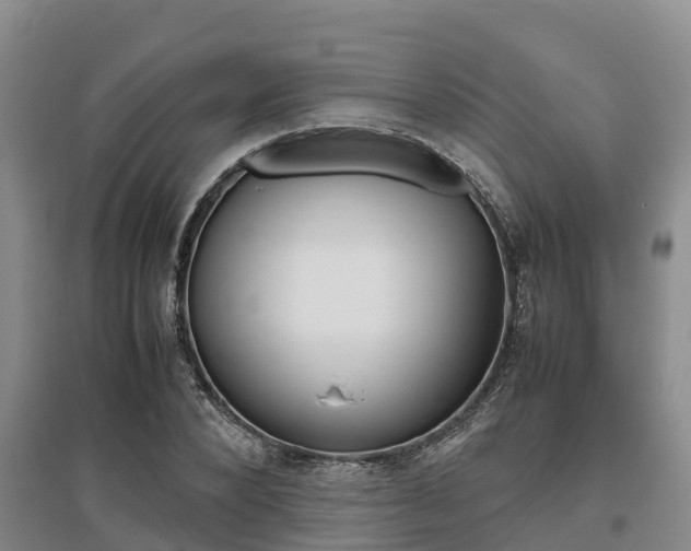 X0000095890880200801110826