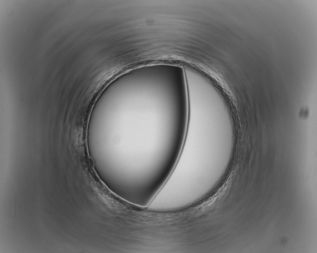 X0000095890881200801110826