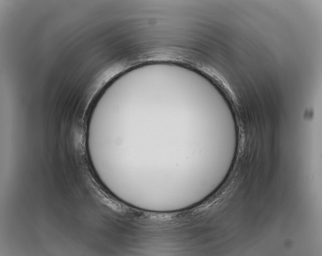 X0000095890882200801110826