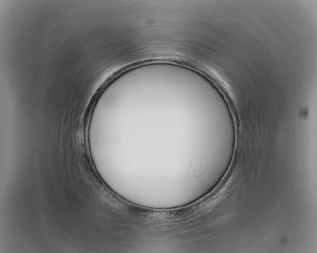 X0000095890883200801110826