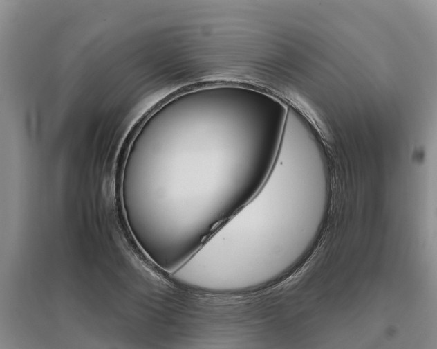 X0000095890884200801110826