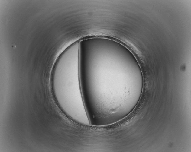 X0000095890885200801110826