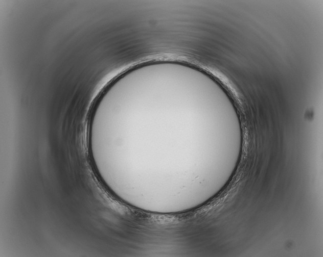 X0000095890886200801110826