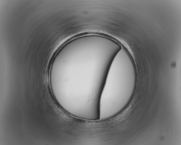 X0000095890887200801110826