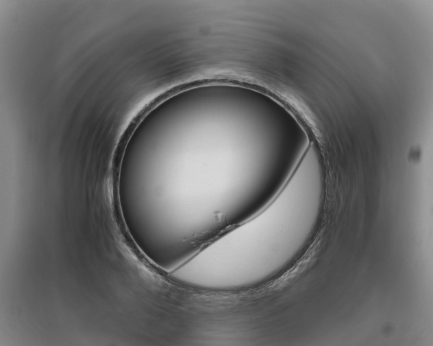 X0000095890888200801110826