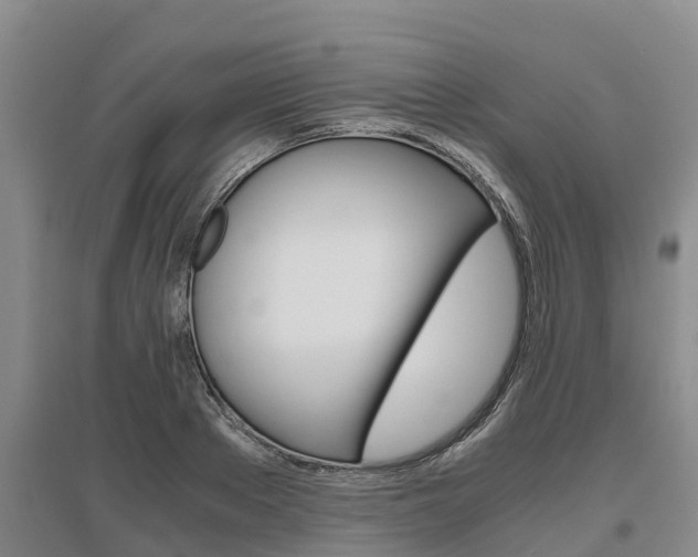 X0000095890889200801110826