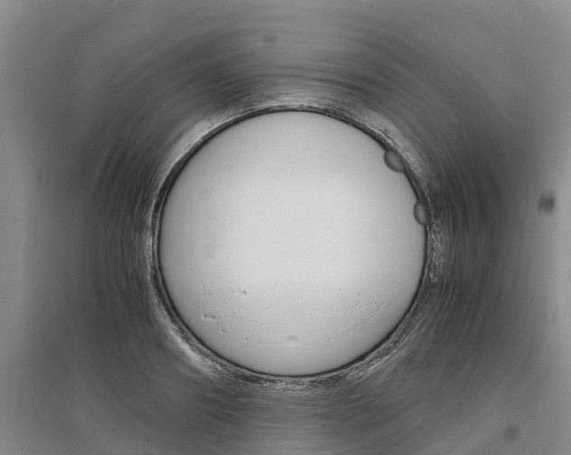X0000095890890200801110826