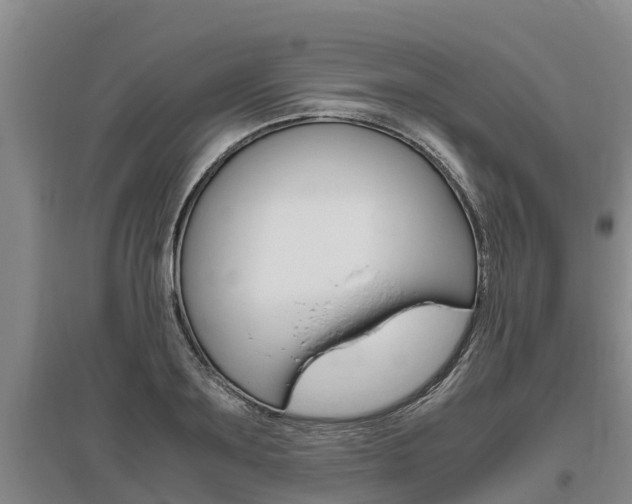 X0000095890891200801110826
