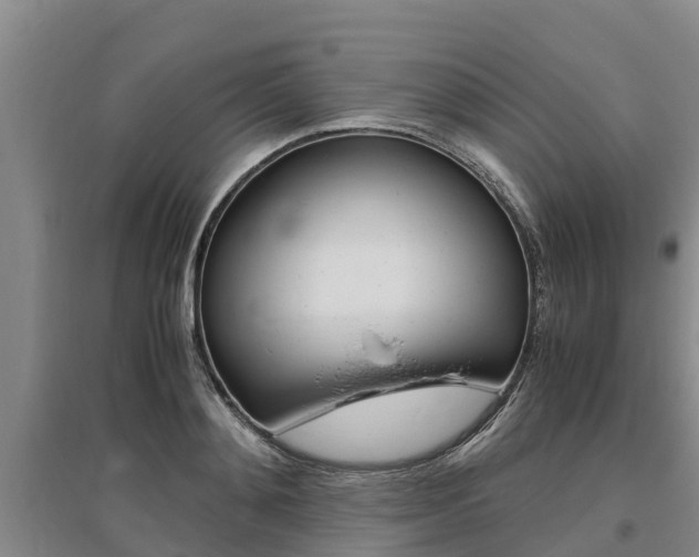 X0000095890892200801110826