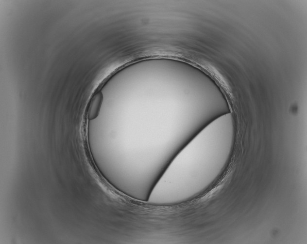 X0000095890893200801110826