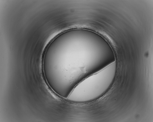 X0000095890894200801110826