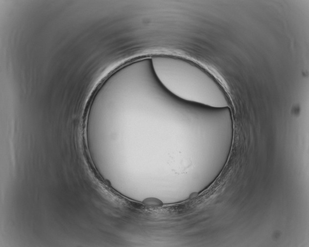X0000095890895200801110826