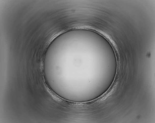 X0000095890897200801110826