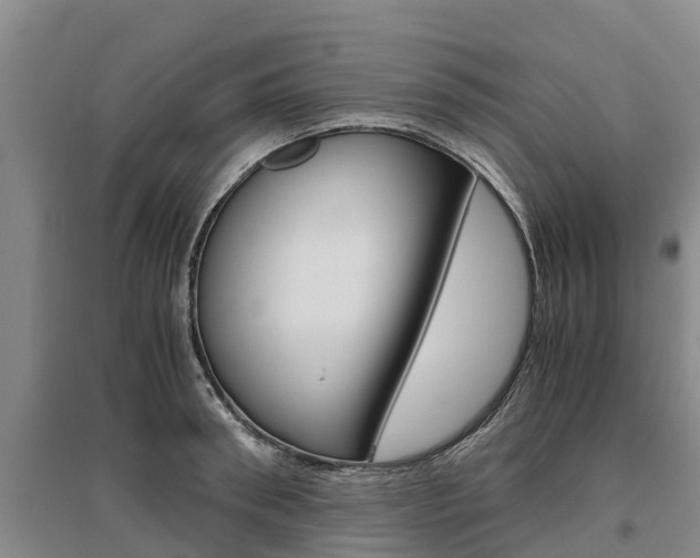 X0000095890898200801110826