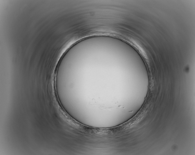 X0000095890899200801110826