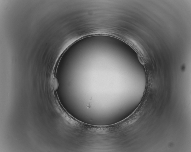 X0000095890900200801110826