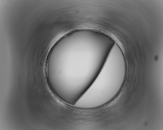 X0000095890901200801110826