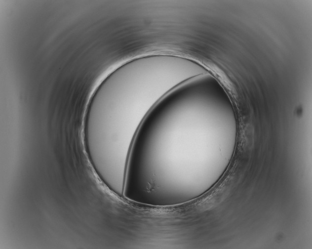 X0000095890904200801110826