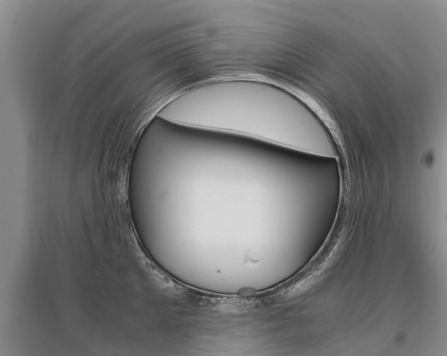 X0000095890905200801110826