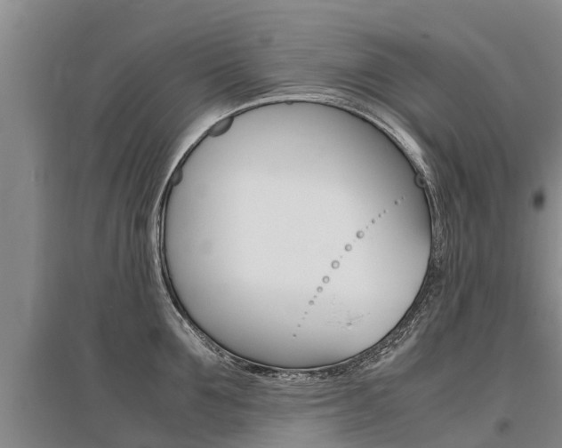 X0000095890907200801110826