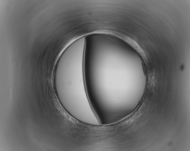 X0000095890908200801110826