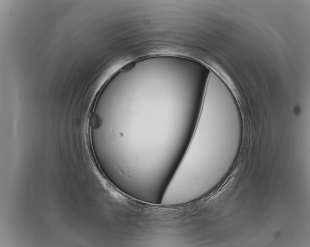 X0000095890909200801110826