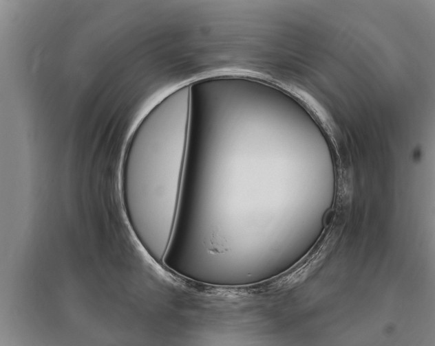 X0000095890910200801110826