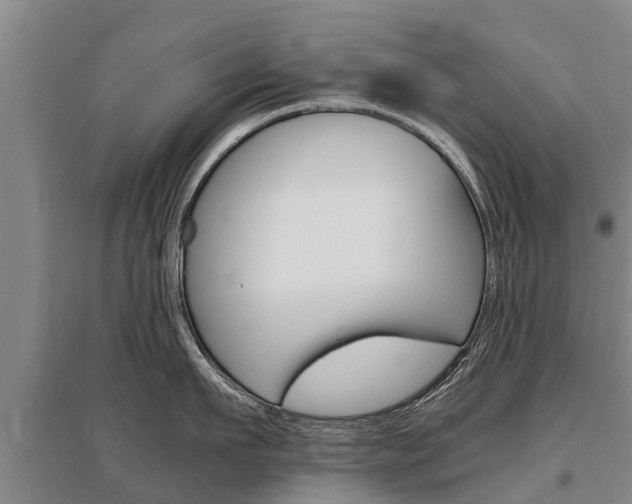 X0000095890911200801110826