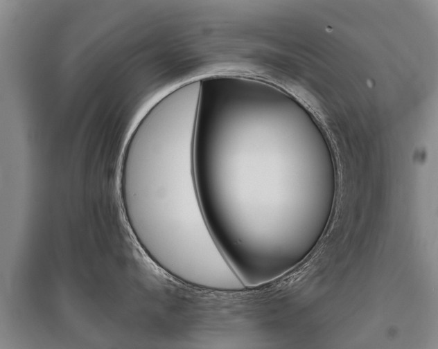 X0000095890912200801110826