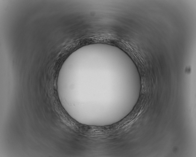 X0000095890913200801110825