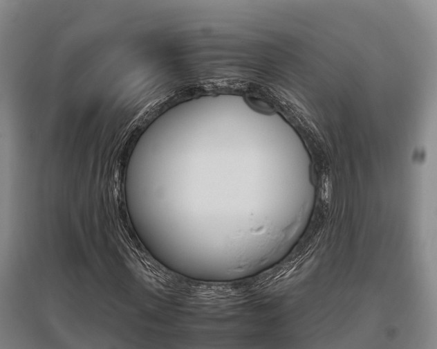 X0000095890915200801110825
