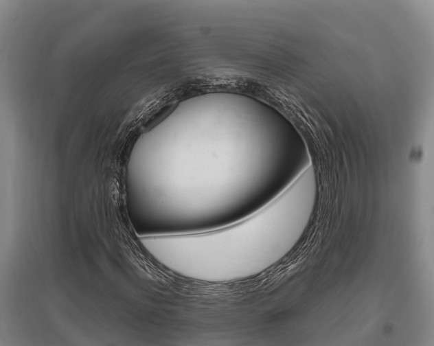 X0000095890916200801110825